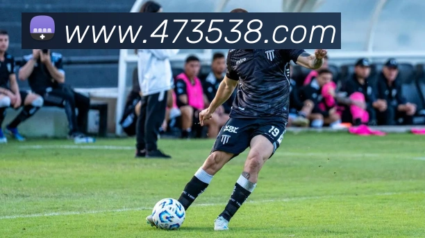 开云在线官方网站平台生态图